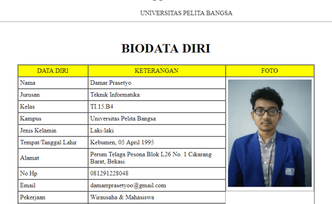 Biodata Html Template - 52+ Koleksi Gambar