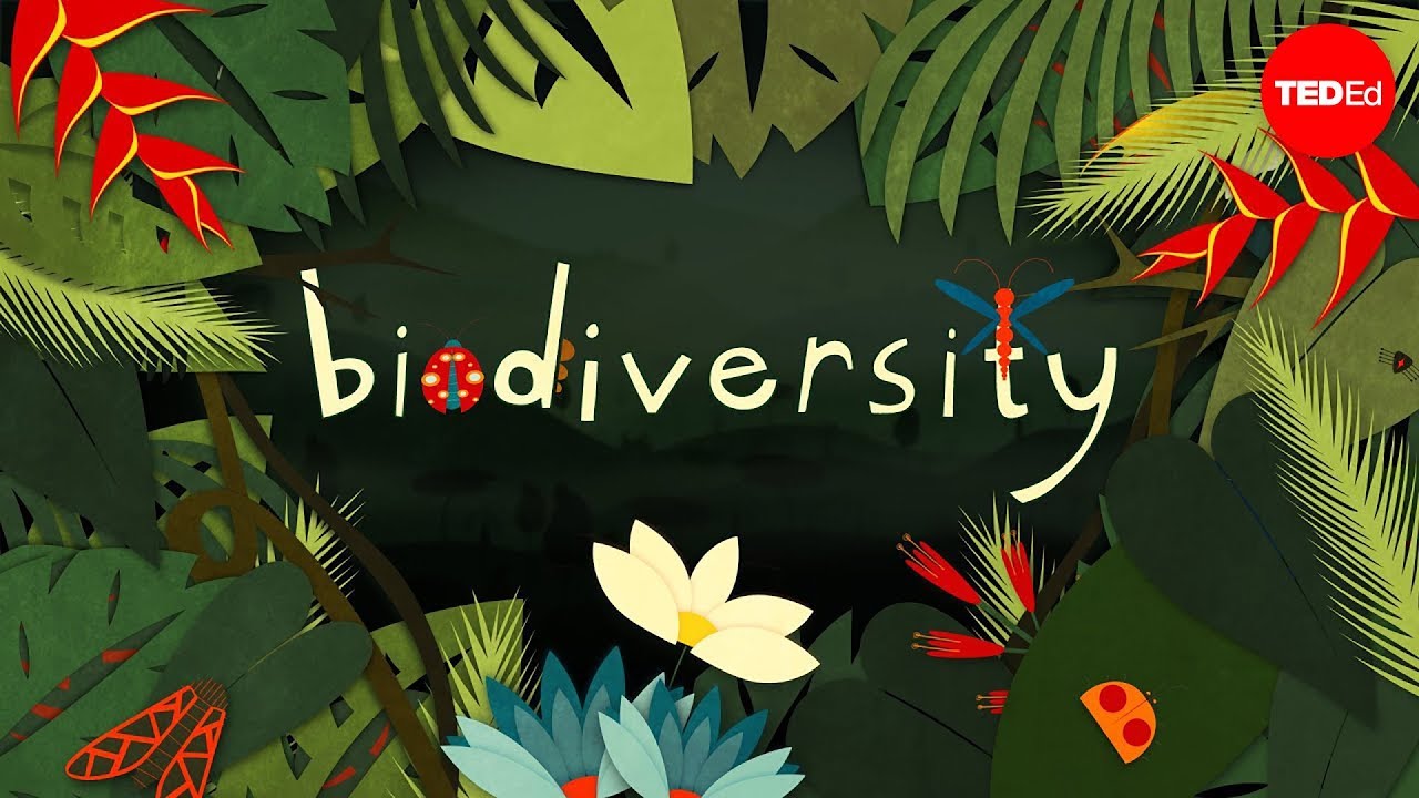 Detail Biodiversity Ppt Template Nomer 21