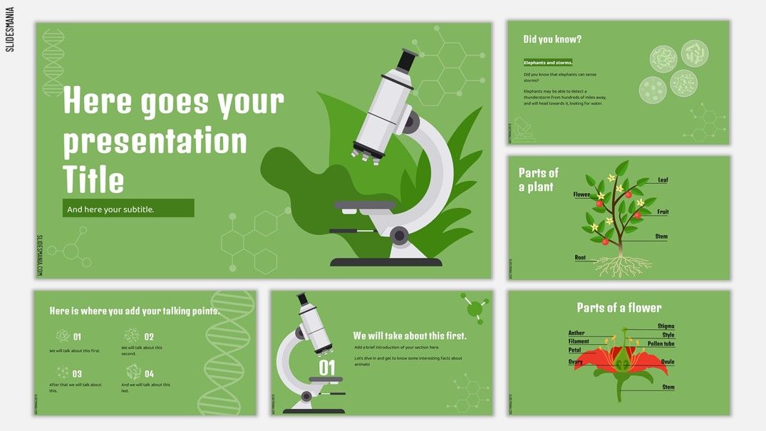 Detail Biology Powerpoint Template Nomer 13