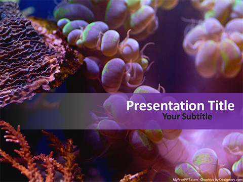 Detail Biology Powerpoint Template Nomer 41