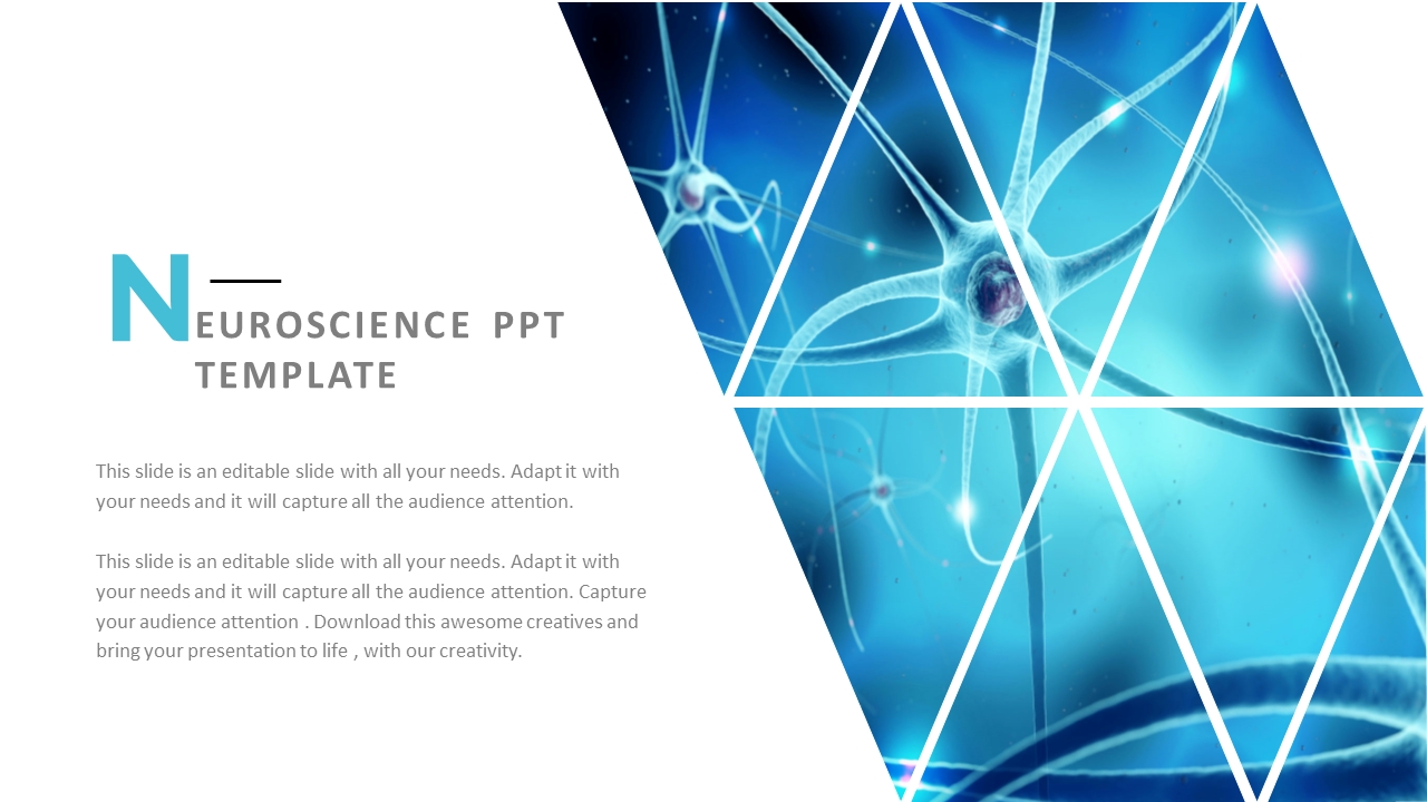 Detail Biomechanics Powerpoint Template Nomer 27