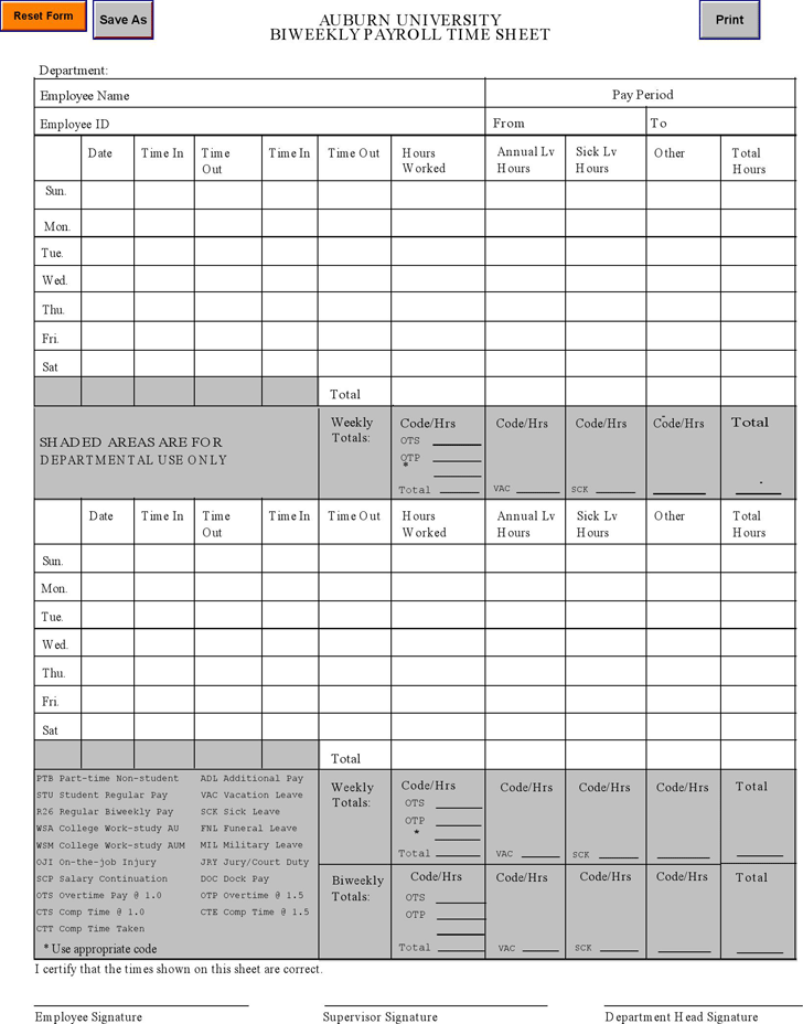 Detail Biweekly Timesheet Template Nomer 44