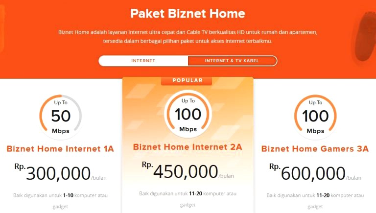 Detail Biznet Untuk Rumah Nomer 2