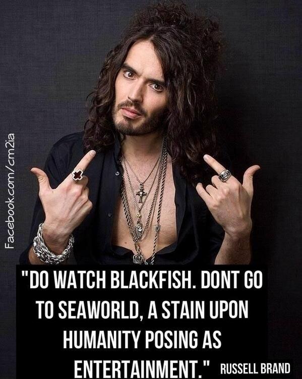 Detail Blackfish Documentary Quotes Nomer 9