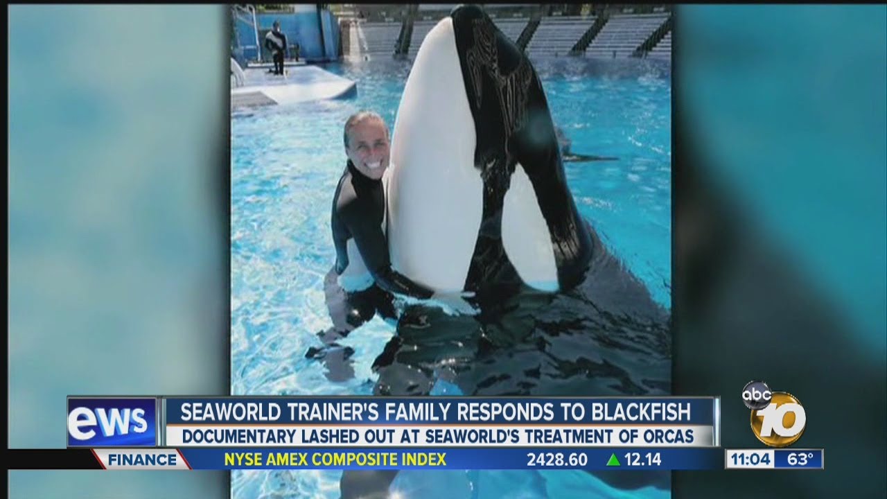 Detail Blackfish Documentary Quotes Nomer 14