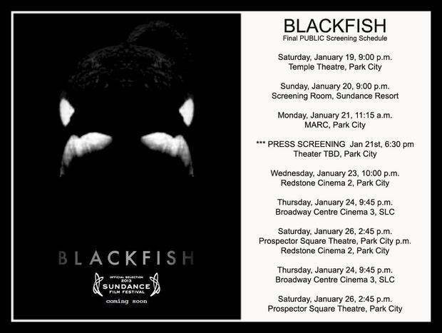 Detail Blackfish Documentary Quotes Nomer 19