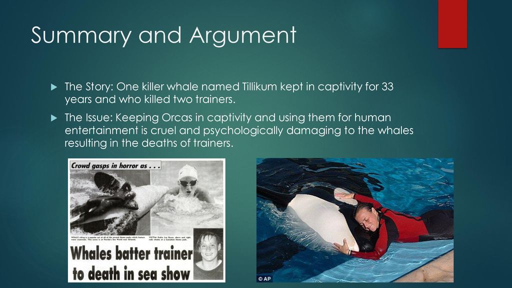 Detail Blackfish Documentary Quotes Nomer 31