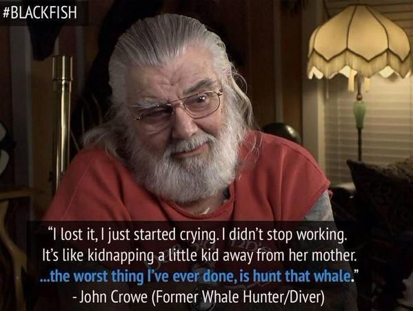 Detail Blackfish Documentary Quotes Nomer 6