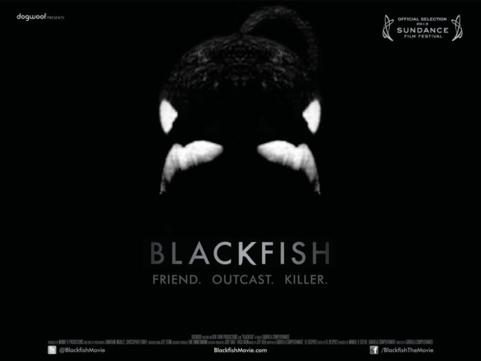 Detail Blackfish Documentary Quotes Nomer 8