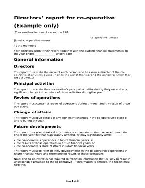 Detail Board Of Directors Report Template Nomer 4