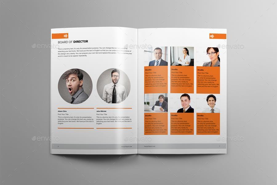 Detail Board Of Directors Report Template Nomer 47