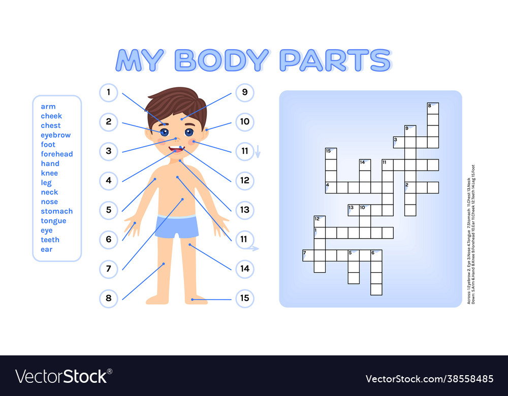 Detail Body Puzzle Template Nomer 13