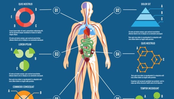 Detail Body Puzzle Template Nomer 46