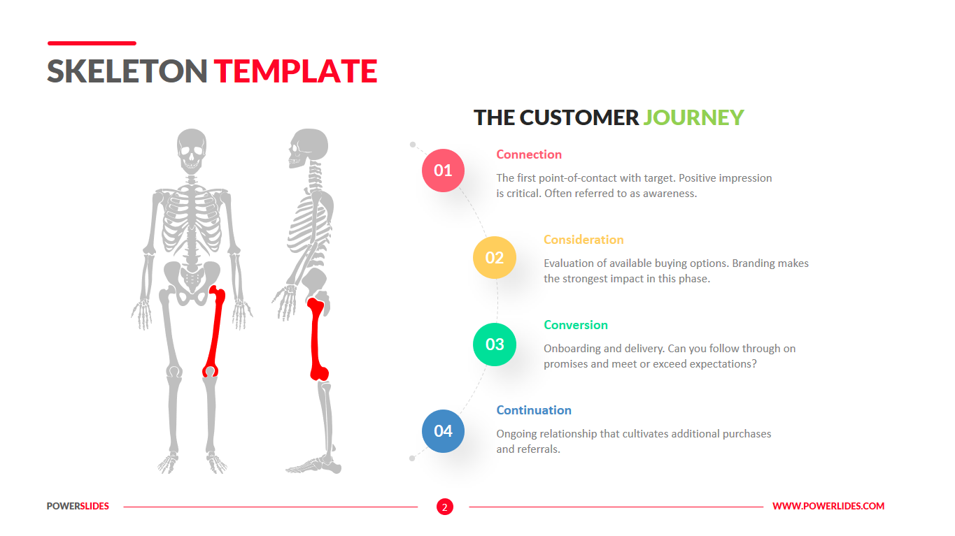 Detail Bone Ppt Template Nomer 25