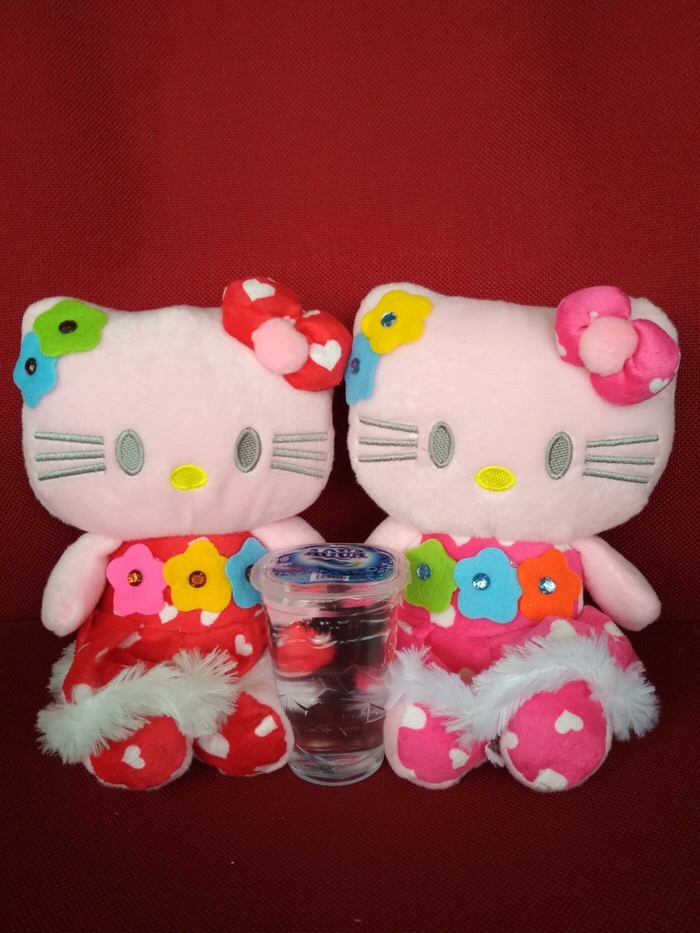 Detail Boneka Hello Kitty Cantik Nomer 4