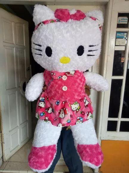 Detail Boneka Hello Kitty Cantik Nomer 39