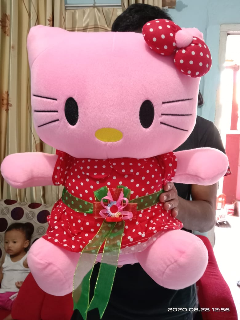 Detail Boneka Hello Kitty Cantik Nomer 54