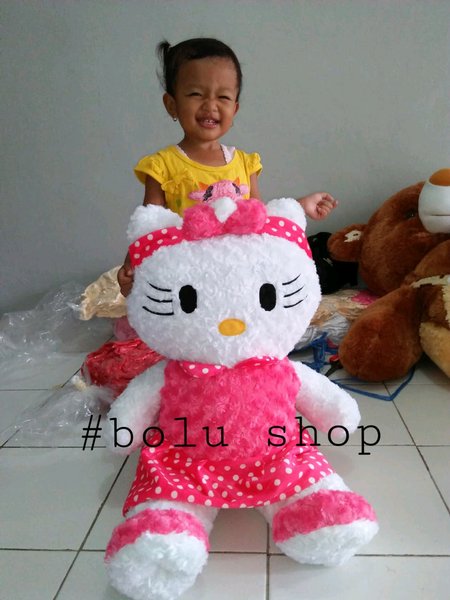 Detail Boneka Hello Kitty Cantik Nomer 57