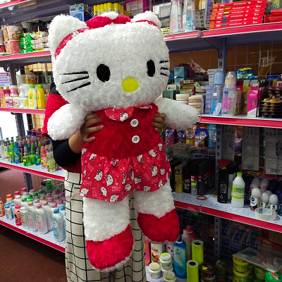 Detail Boneka Hello Kitty Png Nomer 33