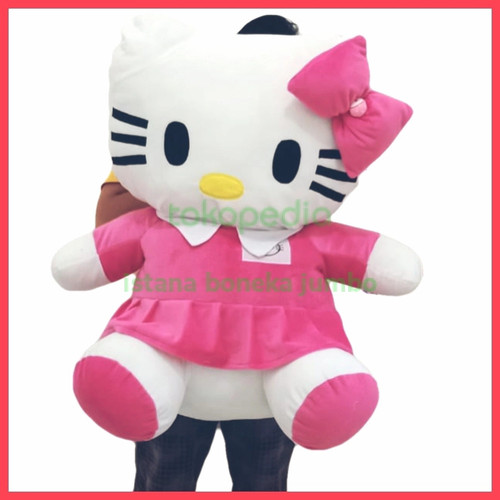 Detail Boneka Hello Kitty Terbesar Nomer 10