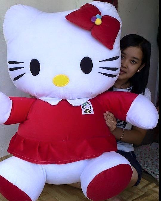 Detail Boneka Hello Kitty Terlucu Nomer 40