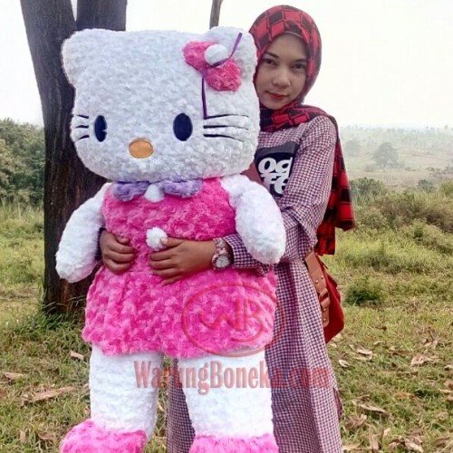 Detail Boneka Hello Kitty Ukuran Besar Nomer 43