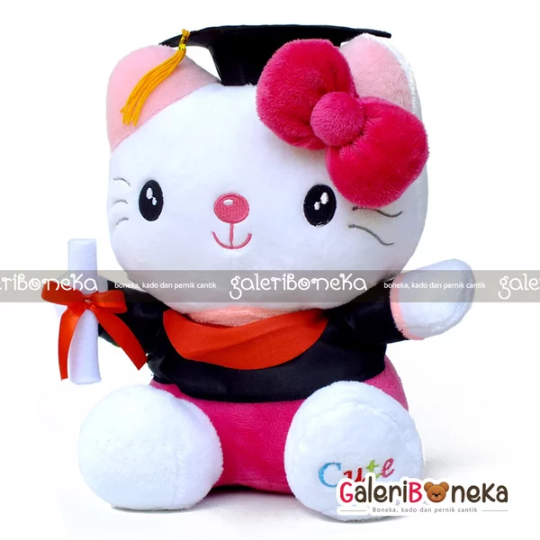 Detail Boneka Wisuda Hello Kitty Nomer 12
