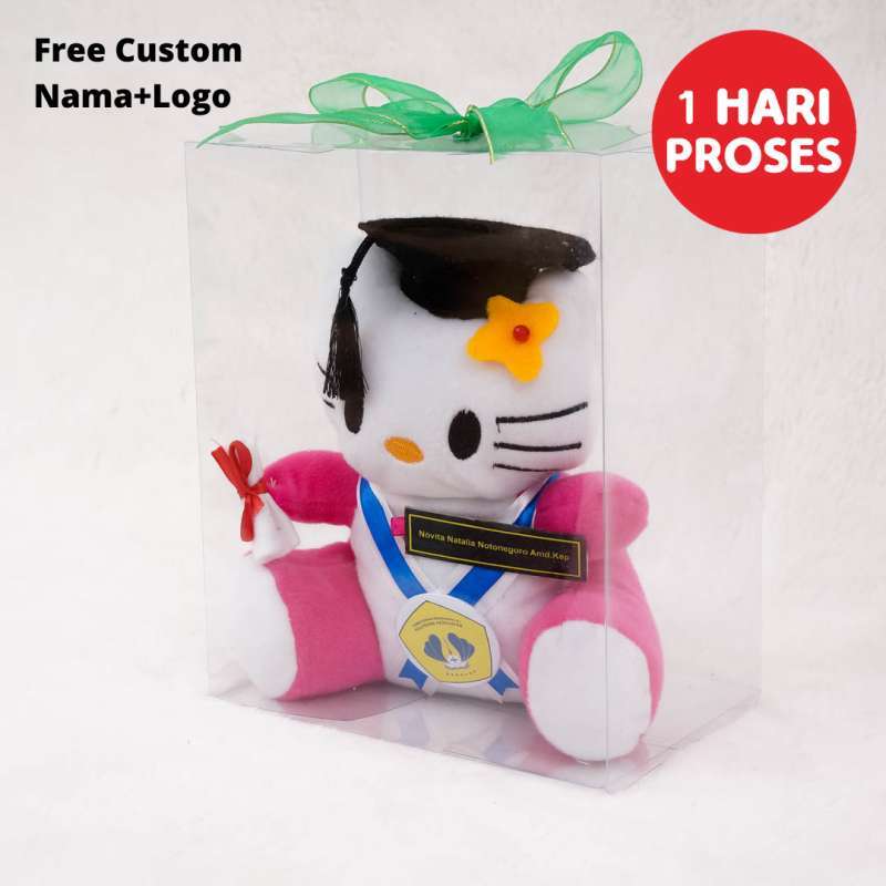 Detail Boneka Wisuda Hello Kitty Nomer 14