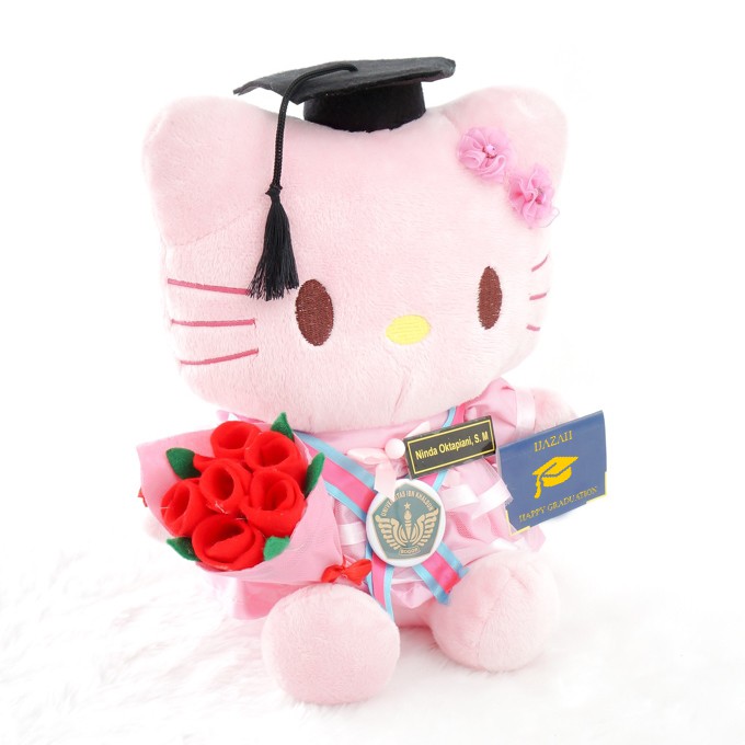 Detail Boneka Wisuda Hello Kitty Nomer 3