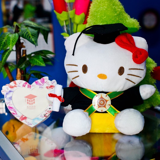 Detail Boneka Wisuda Hello Kitty Nomer 19