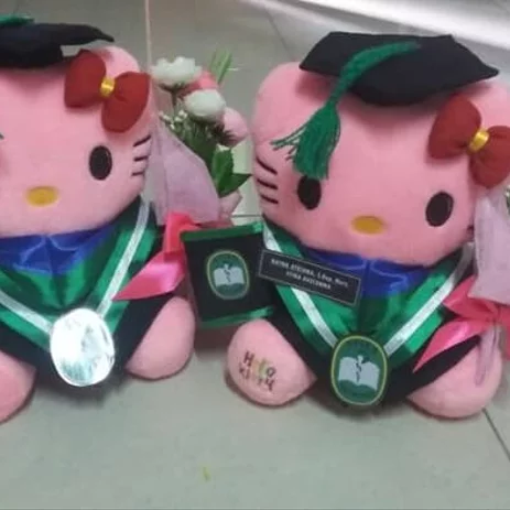 Detail Boneka Wisuda Hello Kitty Nomer 27