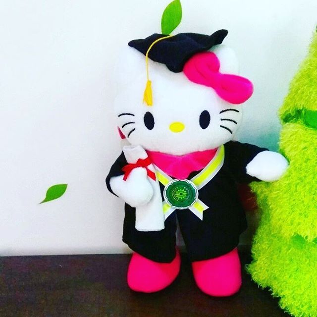 Detail Boneka Wisuda Hello Kitty Nomer 31