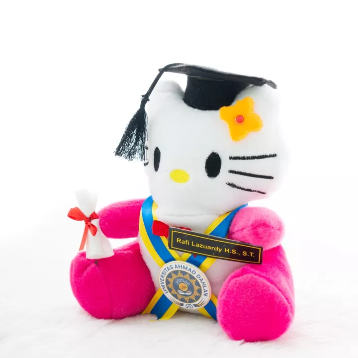 Detail Boneka Wisuda Hello Kitty Nomer 34