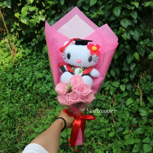 Detail Boneka Wisuda Hello Kitty Nomer 35