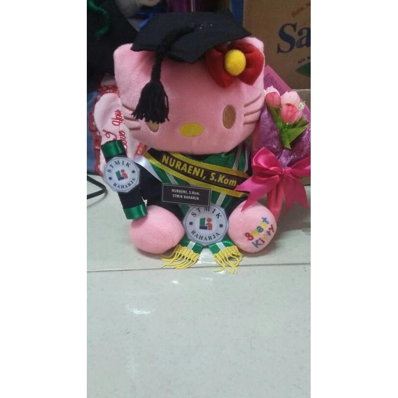 Detail Boneka Wisuda Hello Kitty Nomer 41
