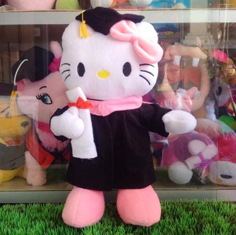 Detail Boneka Wisuda Hello Kitty Nomer 42