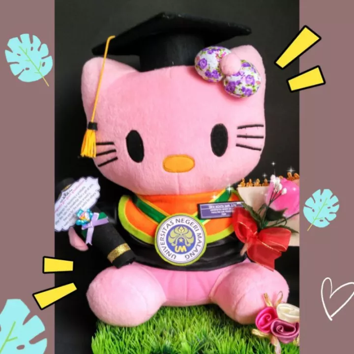 Detail Boneka Wisuda Hello Kitty Nomer 46