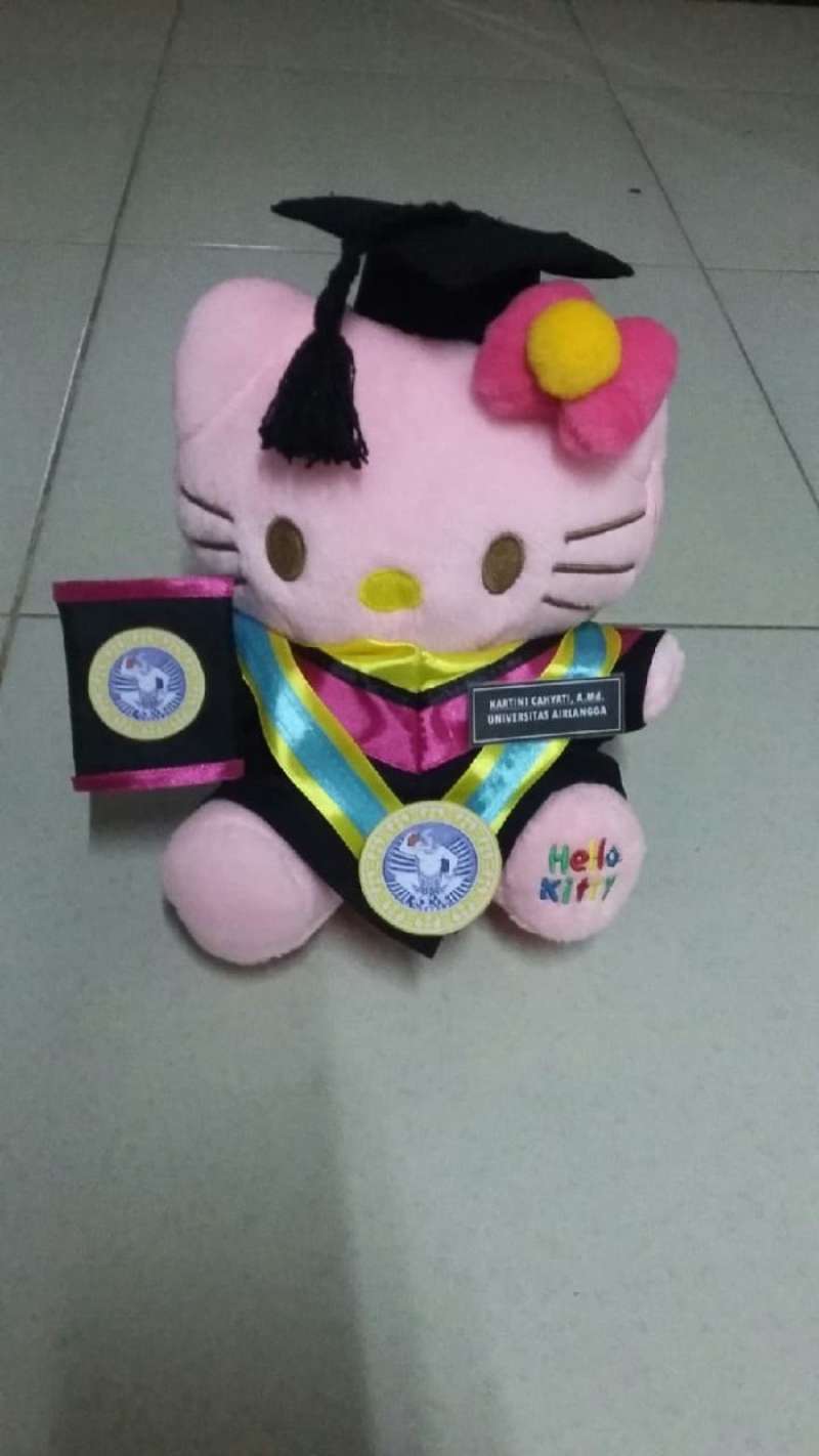 Detail Boneka Wisuda Hello Kitty Nomer 49