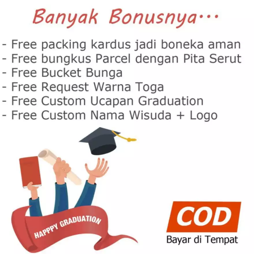 Detail Boneka Wisuda Hello Kitty Nomer 50