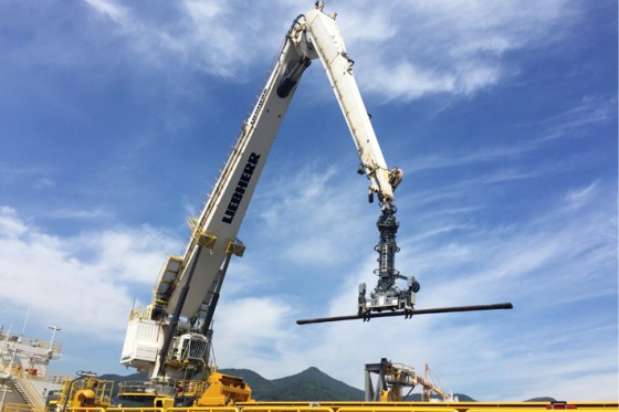 Detail Boom Crane Adalah Nomer 11