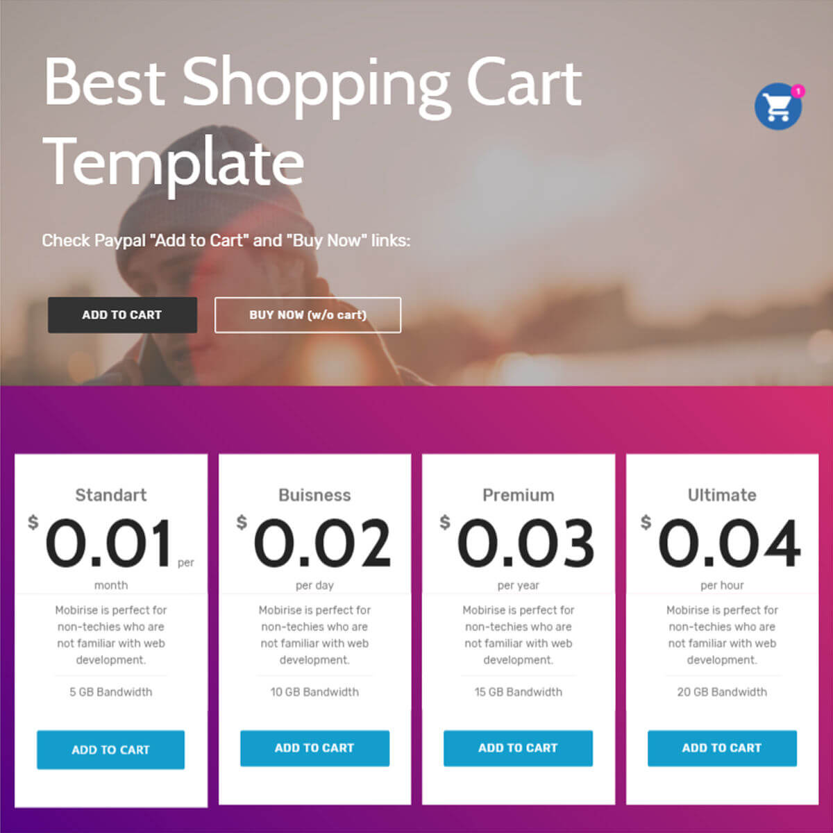 Detail Bootstrap 3 Cart Template Nomer 53