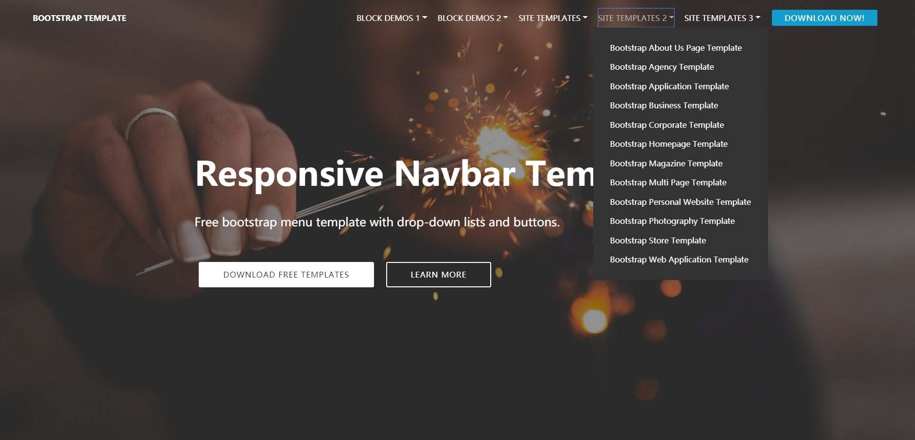 Detail Bootstrap 3 Navbar Template Nomer 4