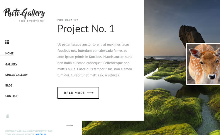 Detail Bootstrap 4 Gallery Template Nomer 48