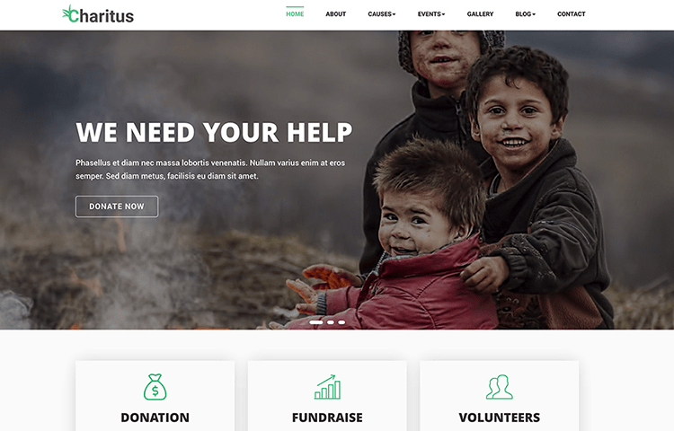 Detail Bootstrap Non Profit Template Nomer 16