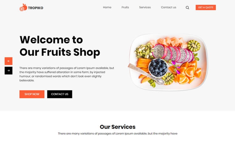 Detail Bootstrap Online Store Template Free Nomer 24