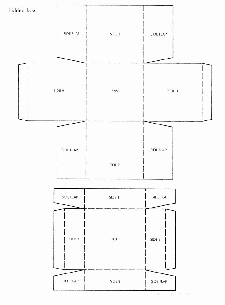 Detail Box Template Maker Nomer 28