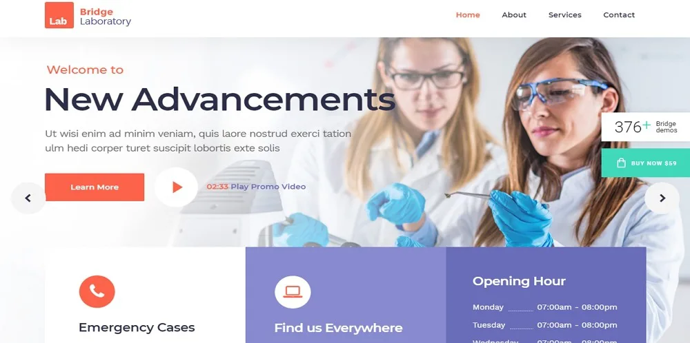 Detail Bridge Template Wordpress Nomer 32