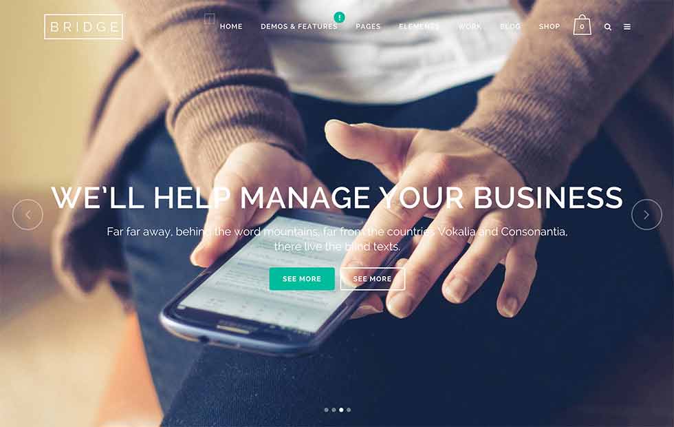 Detail Bridge Template Wordpress Nomer 36