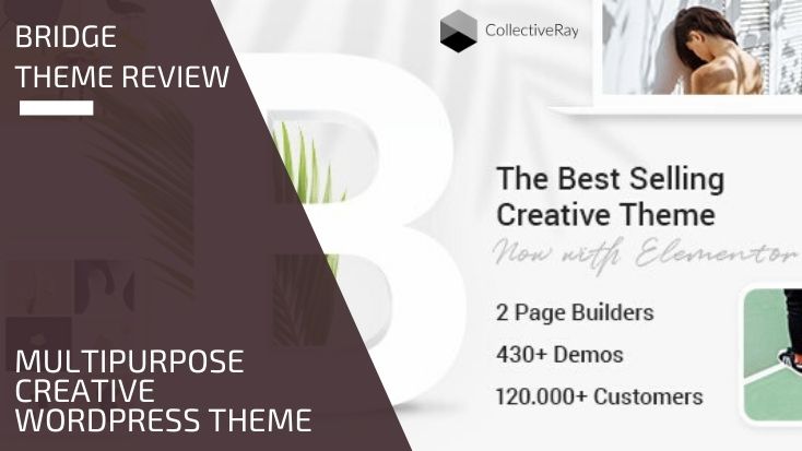 Detail Bridge Template Wordpress Nomer 10