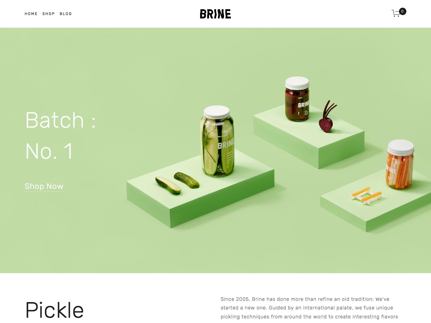 Brine Template Squarespace - KibrisPDR